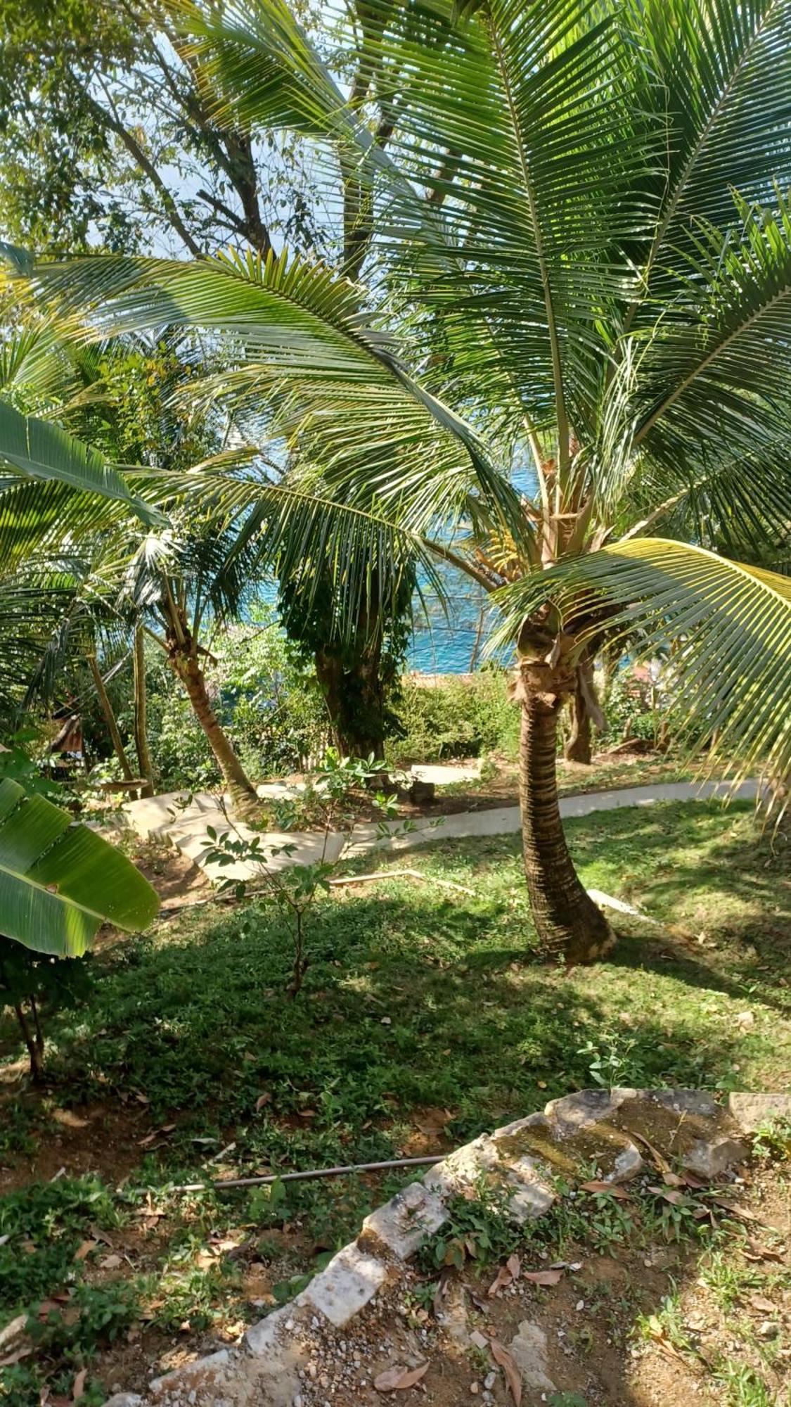 Saracura Hotel Praia de Araçatiba Exterior foto